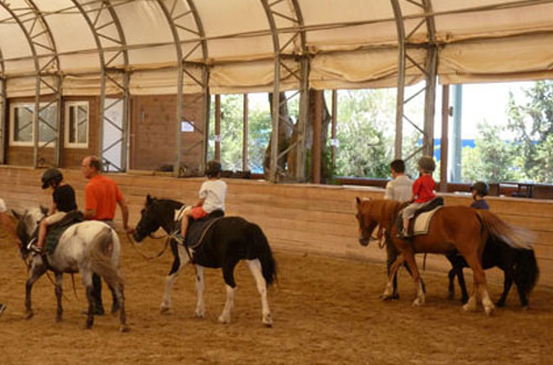 ΠΑΙΔΙΚΟΙ ΣΤΑΘΜΟΙ ΓΑΛΑΤΣΙ ΛΑΜΠΡΙΝΗ ΔΡΑΣΤΗΡΙΟΤΗΤΕΣ ΕΞΩΣΧΟΛΙΚΕΣ 015